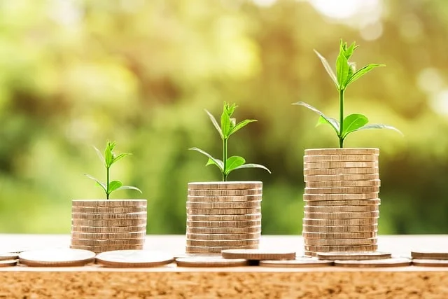 LDDS livret de développement durable et solidaire