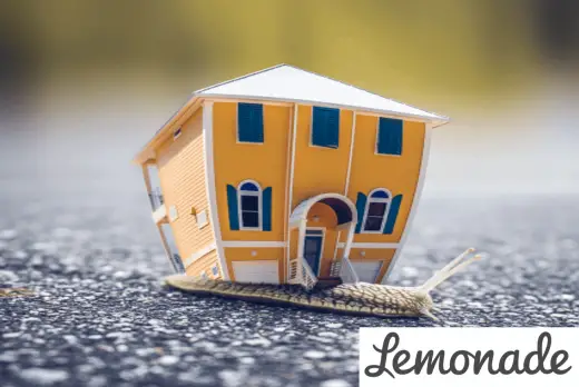 Avantages Assurance Lemonade