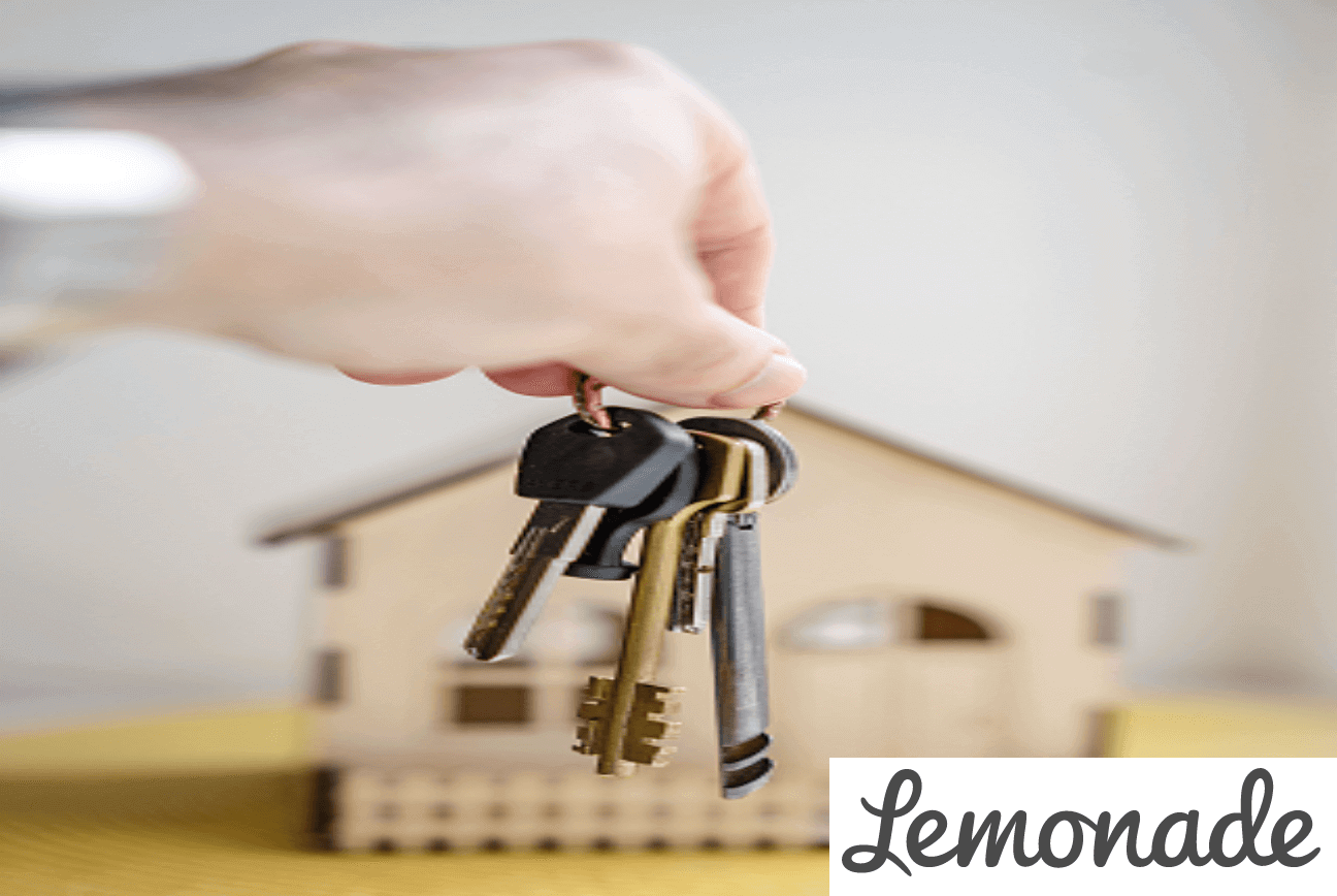 Avis Lemonade Focus sur l