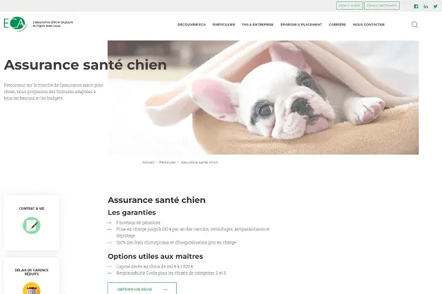 Eca Assurance Santé Des Animaux
